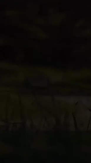 Todd Snyder x Matt Bomer